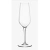 Gambar Bormioli Rocco "Electra" Stemware Flute 230 cc dari RNK Incontro Indonesia Jakarta Barat 1 Tokopedia