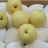 Gambar Pear Century Buah Segar / Pir Century Fresh Import Murah Per 1dus 16kg dari Toko-Buah-88 Jakarta Barat 2 Tokopedia