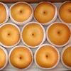 Gambar Pir Pear Singo rrc 1 dus 9kg dari Toko-Buah-88 Jakarta Barat 2 Tokopedia