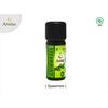 Gambar Spearmint Premium Essential Oil Annise Herbal - 10mk dari anniseherbal Kota Tangerang 1 Tokopedia