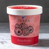 Gambar TERRA Raspberry Ice Cream 16 Oz dari Terra Eats Jakarta Selatan 1 Tokopedia