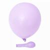 Gambar Balon Latex Macaron / Balon Warna Pastel 12inch Per Pack (100pcs) - Biru Muda dari Cepy Store Jakarta Barat 11 Tokopedia