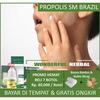Gambar Obat Penghilang Panu, hapuran Di Tubuh Alami | Propolis SM Original dari Wonderful Herbal Kota Surabaya 1 Tokopedia