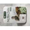 Gambar Nasi Pandan & Ayam Seset Pedas Kemangi Fenita dari Kokikit Jakarta Selatan 1 Tokopedia