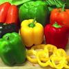 Gambar Benih/Bibit/Seeds Paprika / Bell Pepper Mix Colour Cocok untuk Pemula dari Amefurashi Jakarta Selatan 1 Tokopedia