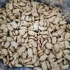 Gambar Muezza Kitten dari Muezza Cat Feed Official Shop Jakarta Barat 4 Tokopedia