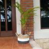 Gambar Keranjang Anyam set 2 / Kotak Penyimpanan dari kerajinan bali Kota Denpasar 5 Tokopedia