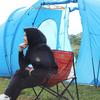 Gambar Kursi lipat folding chair Dhaulagiri FC 600 dari Azimuth Outdoor Blitar Kota Blitar 5 Tokopedia
