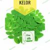 Gambar daun kelor segar alami 100 gram - 100 gram dari Dientoko Kota Surabaya 1 Tokopedia