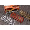 Gambar Per CVT Daytona +20% (1,500RPM), M3, Mio S, Mio Z dari daytonaid Kab. Bekasi 5 Tokopedia