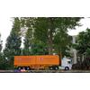 Gambar Diecast Truck Container Samudera Skala 43 20 Feet dari CassavaToys Kota Bekasi 2 Tokopedia