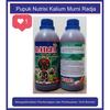 Gambar Pupuk Kalium Cair Terbaik,Murni,Tanaman Padi,Cabai,Bawang Merah dari Nutrisi Tanaman Sehat Kab. Blitar 2 Tokopedia