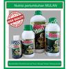 Gambar Nutrisi Anti Keriting, Macet Pertumbuhan, Asem-Aseman, Penyegar 500ml dari Nutrisi Tanaman Sehat Kab. Blitar 1 Tokopedia
