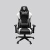 Gambar Gaming Chair Rexus RGC-100 WHITE ARMERST 2D dari ArinGoComputer Kota Samarinda 1 Tokopedia