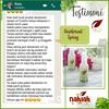 Gambar DEOSPRAY/DEO SR12/AMPUH MENGUSIR BAU BADAN dari SR12 REMBANG JAWA TENGAH Kab. Rembang 4 Tokopedia