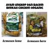 Gambar AYAM ORGANIK UNGKEP SEHAT, HALAL, NON MSG, BEBAS PENGAWET 1 EKOR - 900 gr 10 pcs dari QilaFiqa Shop Kota Depok 3 Tokopedia