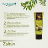 Gambar Herborist Paket Zaitun Full Treatment dari Oemah Herborist Jakarta Barat 3 Tokopedia