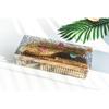Gambar Lumi Sisir Bambu - 6 sets Bamboo Brush dari LUMI OFFICIAL INDO Kota Bandung 4 Tokopedia