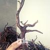 Gambar Kayu Rasamala / Kayu Aquascape size S dari Debu dan Angin Aquascape Kota Tangerang Selatan 2 Tokopedia