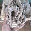 Gambar Batu Pasir / Sand Stone / Batu Aquascape dari Debu dan Angin Aquascape Kota Tangerang Selatan 1 Tokopedia