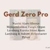 Gambar PAKET GOLD GERD ZERO PRO OBAT HERBAL GERD - 2gzpplusbonus dari SariHerball02 Kab. Bekasi 3 Tokopedia