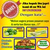 Gambar Bawang Putih Lanang | Tunggal 500gram dari Bisnis Sabrina Shop Jakarta Selatan 2 Tokopedia