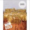 Gambar Rumbai/ Tassel Gold dari Cahayapelangi20 Kota Depok 1 Tokopedia