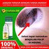 Gambar Obat Polip / Benjolan di Hidung - Propolis Brazil SM Original 100% dari Devi Herbal Indonesia Jakarta Utara 1 Tokopedia