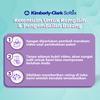 Gambar Softex Celana Menstruasi 2s dari Softex Indonesia Kab. Tangerang 4 Tokopedia