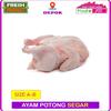 Gambar AYAM POTONG SEGAR / AYAM BROILER - SIZE B dari Pindo AR Kota Depok 1 Tokopedia