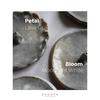 Gambar Tempat Dupa Keramik Fire Flower - Fire Flower Ceramic Incense Holder - Bloom, Lava Gray dari Dhoopa Jakarta Barat 7 Tokopedia