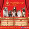 Gambar Obat Tetes Mata - Luka - Katarak - Anjing Kucing Kelinci Hewan Alami dari Caesar Jac'O Jakarta Barat 5 Tokopedia