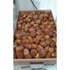 Gambar Kurma SUKARI AL-MADINA kemasan 3kg dari kurmaonlinestore Jakarta Pusat 2 Tokopedia
