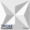 Gambar TRIDEE WALLPANEL PETAL PYRAMID 30x30 CM | WALLPAPER DINDING DEKORASI - TPS16 PYRAMID dari Tridee Wallpaper Jakarta Barat 9 Tokopedia