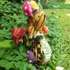 Gambar Boneka Naga Limited Stok dari Toko Mebi Kota Yogyakarta 2 Tokopedia