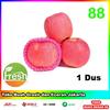 Gambar Buah Apel Fuji Premium Segar/ Manis dan Garing/ RRC Apple 88 Per 1 dus dari Toko-Buah-88 Jakarta Barat 1 Tokopedia