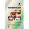 Gambar Buku Varian Normal Lesi Mulut dari Dental ID Store Kab. Sleman 1 Tokopedia