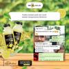 Gambar B ERL COSMETICS-BERLEMON 500 ML-LEMON ASLI-LEMON B ERL dari Distributor Berl Cosmetics Malang Kota Malang 3 Tokopedia
