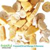 Gambar Frootiful freeze dried fruit - Mango Banana dari Frootiful Jakarta Selatan 2 Tokopedia