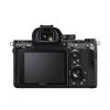 Gambar SONY Alpha A7R III Body - BODY ONLY dari Focus Nusantara Jakarta Pusat 5 Tokopedia