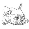 Gambar French Bulldog • Unisex White T-Shirt • by The Space Wanderer - M dari The Space Wanderer Jakarta Timur 4 Tokopedia