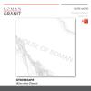 Gambar ROMANGRANIT dCervinia Classic 60x60 GT609854FR (ROMAN GRANIT) dari House of Roman Jakarta Barat 1 Tokopedia