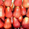 Gambar jambu air merah dari Naufalfruits Kota Tangerang Selatan 1 Tokopedia