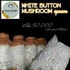 Gambar Bibit jamur kancing/champignon dari Agaris agrobiz Kab. Sleman 1 Tokopedia
