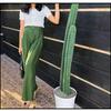 Gambar CELANA KULOT PANJANG HIGHWAIST WANITA - Coksu Resleting dari sukawatisouvenir Kab. Gianyar 5 Tokopedia
