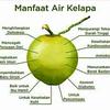 Gambar Kelapa Muda Original dari Ucok Durian Medan Jakarta Timur 3 Tokopedia