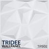 Gambar TRIDEE WALLPANEL PETAL PYRAMID 30x30 CM | WALLPAPER DINDING DEKORASI - TPS16 PYRAMID dari Tridee Wallpaper Jakarta Barat 12 Tokopedia