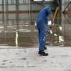 Gambar DECO_SEAL Sealer lantai beton & coating batu alam dari Green Sky Indonesia Kota Medan 3 Tokopedia