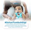 Gambar Dr. Brown's Solusi Tumbuh Gigi / Teether - Elephant dari Dr.Brown's Indonesia Jakarta Utara 2 Tokopedia