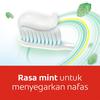 Gambar Colgate Pasta Gigi Fresh Cool Mint 180gr - Isi 2 dari Colgate Palmolive Kota Tangerang 4 Tokopedia